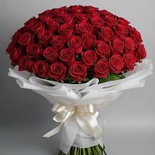 Букет 101 Красная роза Блэк Мэджик в Комаровском