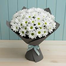 Букет цветов из:  Хризантемы #REPLACE_PRED# Комаровском