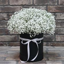 Цветочная композиция из Гипсофила в шляпной коробке в Комаровском